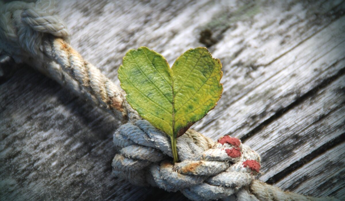 heart, leaf, rope-4355253.jpg